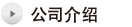 公司介绍