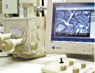 SEM／EDS（微細構造観察）