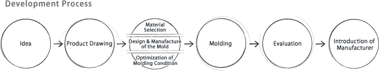 Development Process
