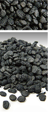 Anisotropic Neodymium